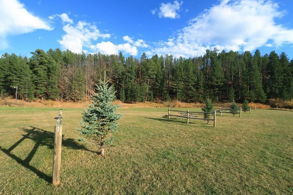 Black Elk Resort Hill City Ruang foto