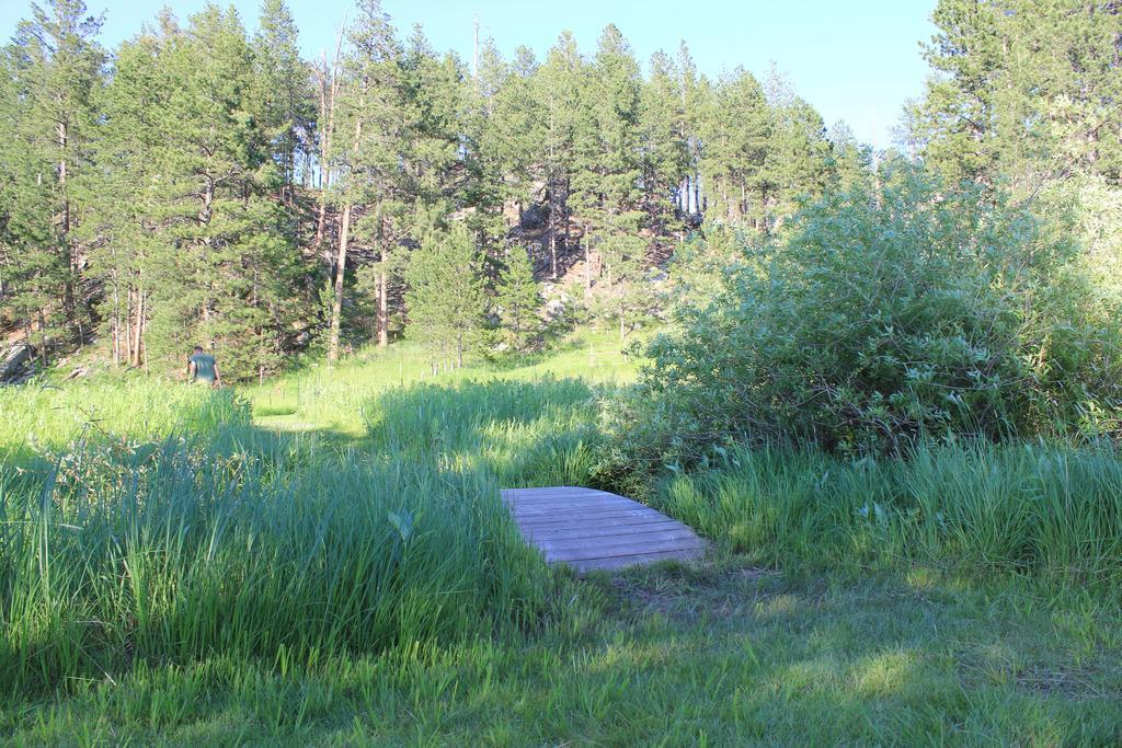 Black Elk Resort Hill City Bagian luar foto
